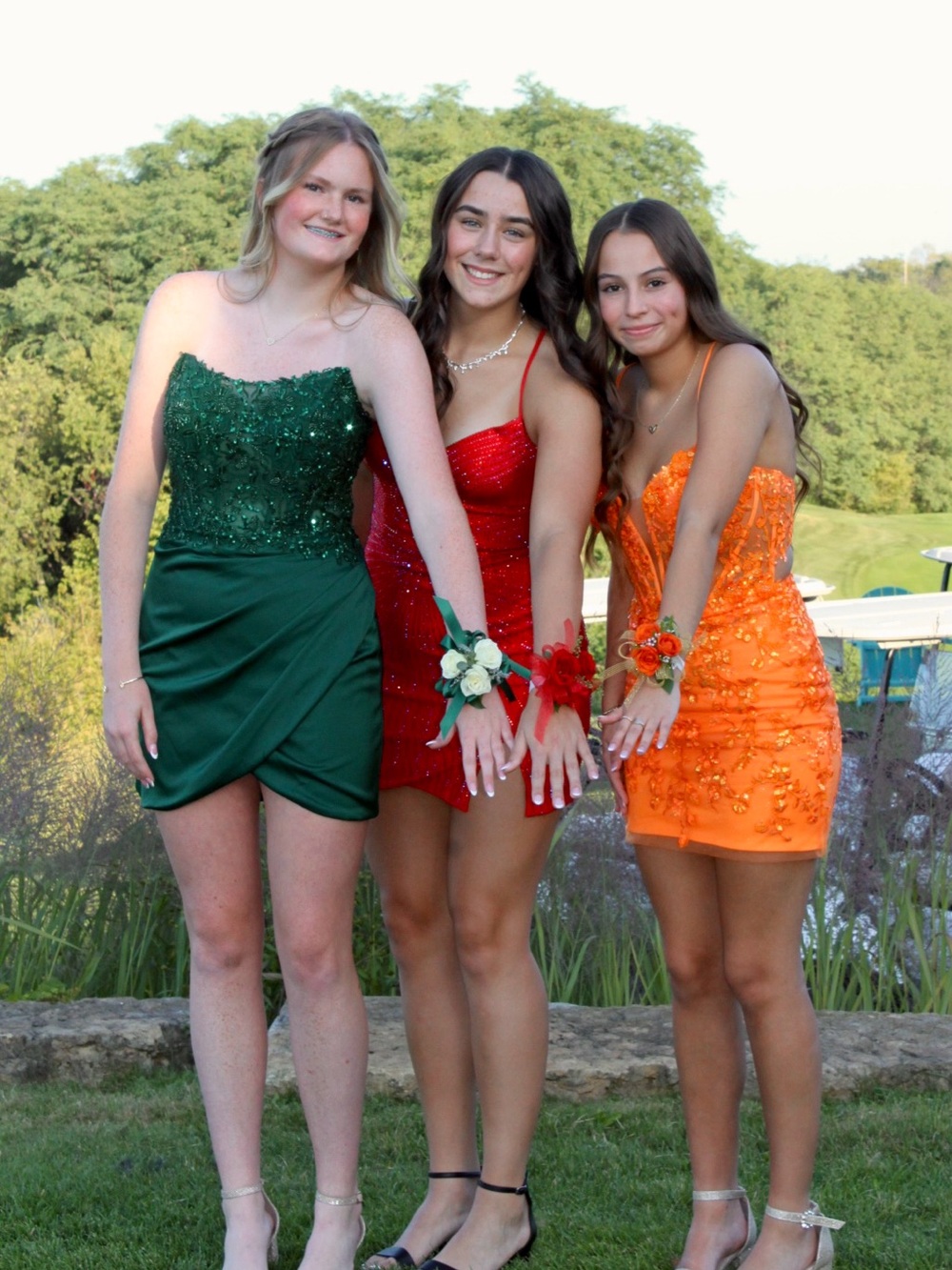 Alyce Paris Homecoming Dress